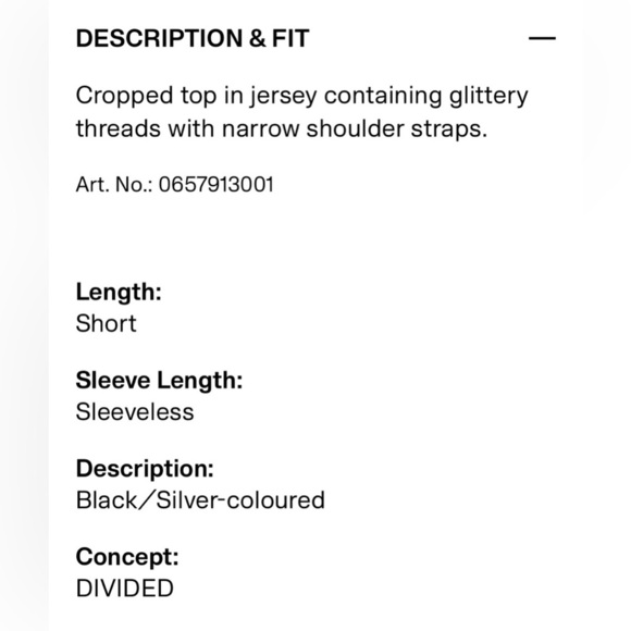 ✨ H&M Y2K Sparkly Crop Top ✨
Size: L 🤍 - Picture 12 of 13